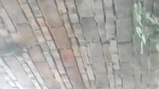 午夜小猫咪的啪啪口爆时间