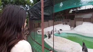 幼儿免费观看网站