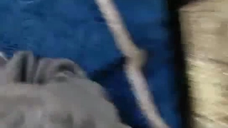 哔哩哔哩哔哩哔哩夫妻自拍做爱