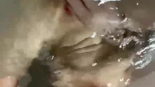 2022-4-20新片速递《我有一台拖拉机》约炮字母圈阿姨和她的闺蜜双飞各种调教